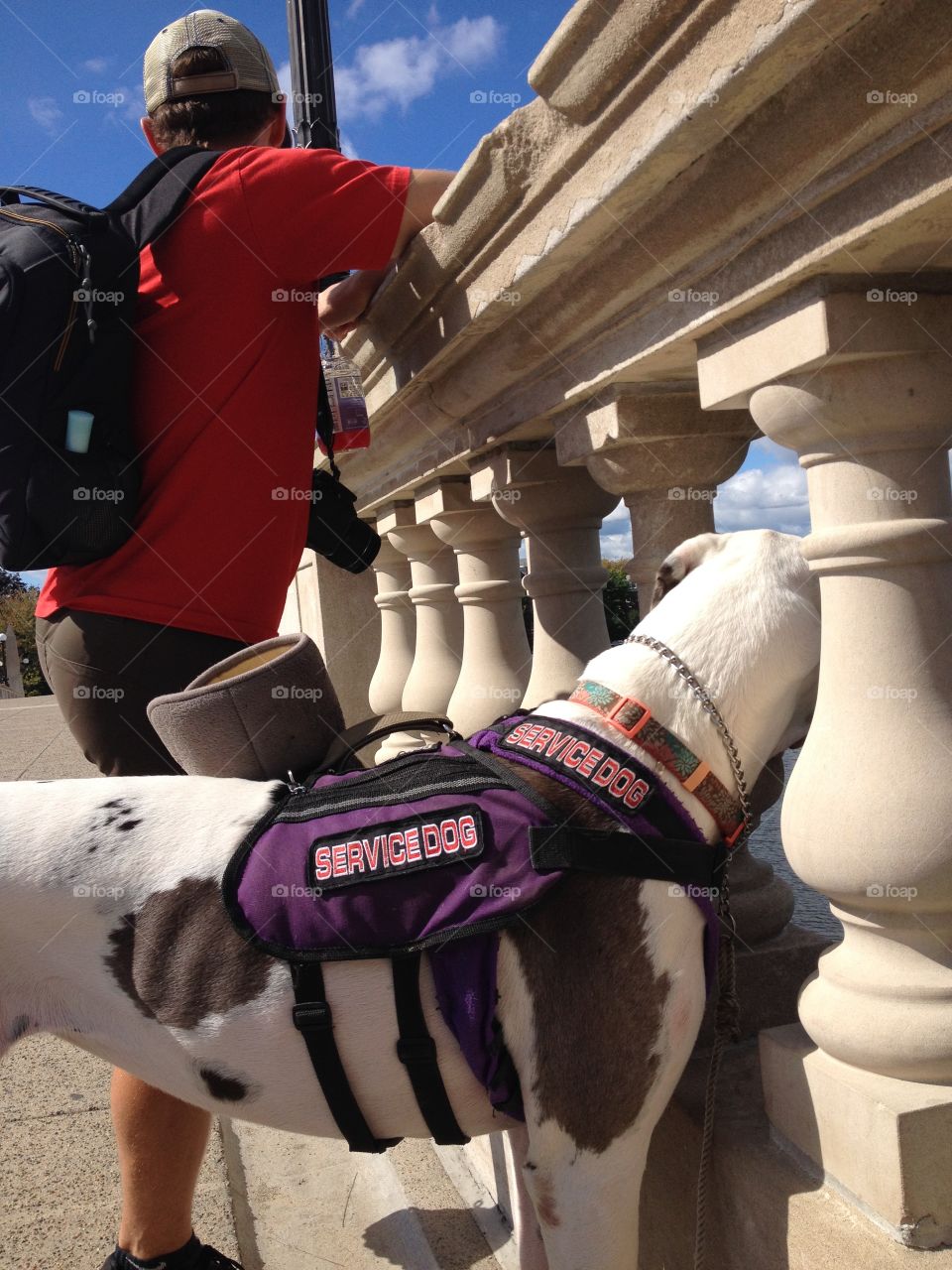 When you're tall enough to reach the water in Maine 