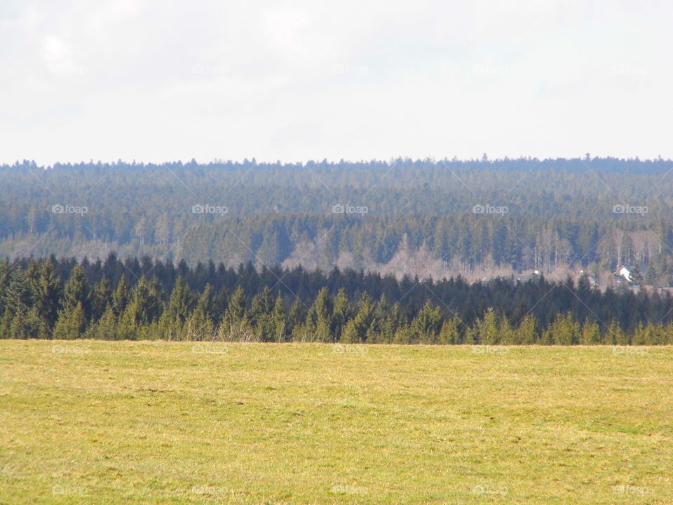 beautiful landscape in black forest background