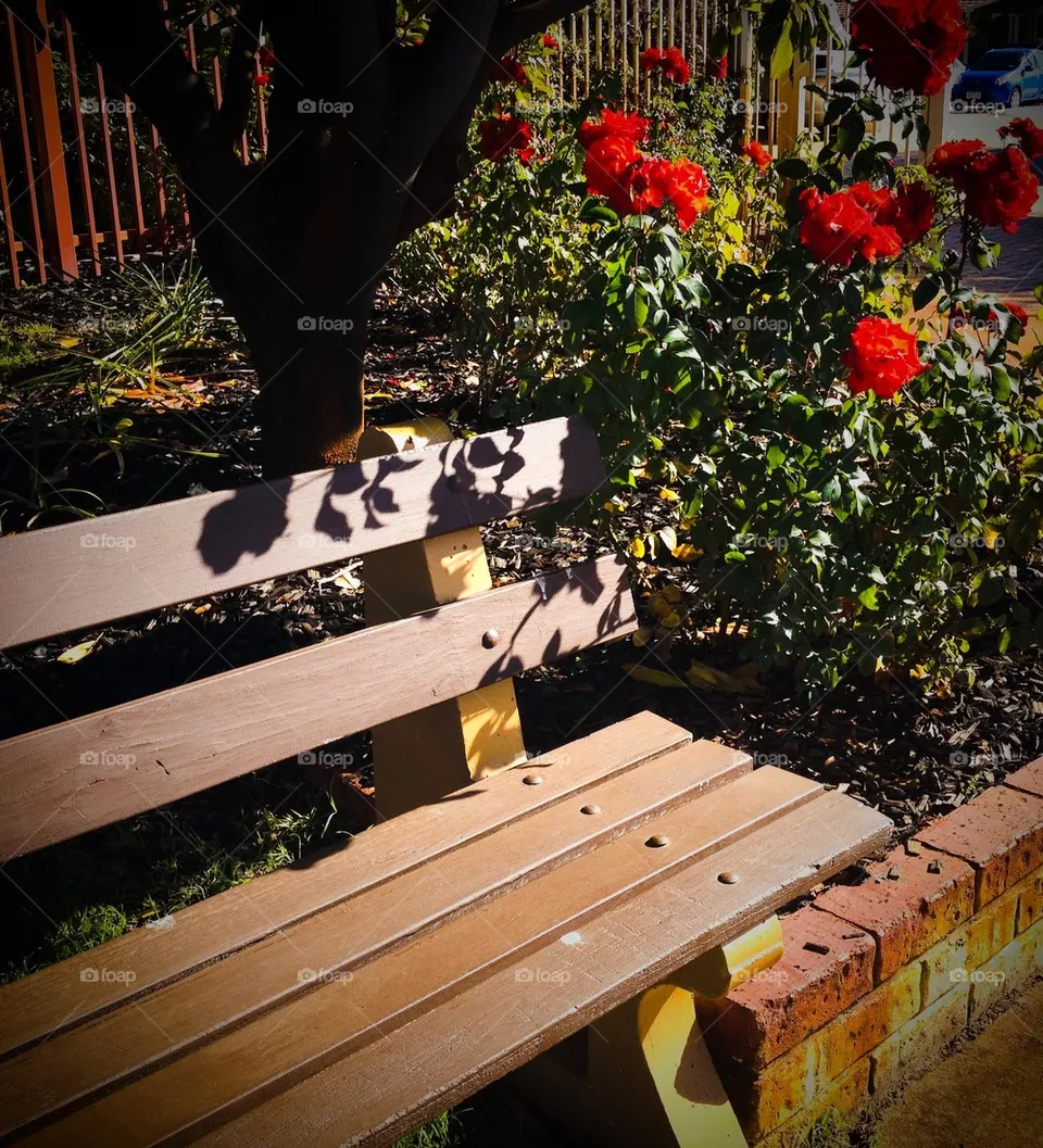 Bench