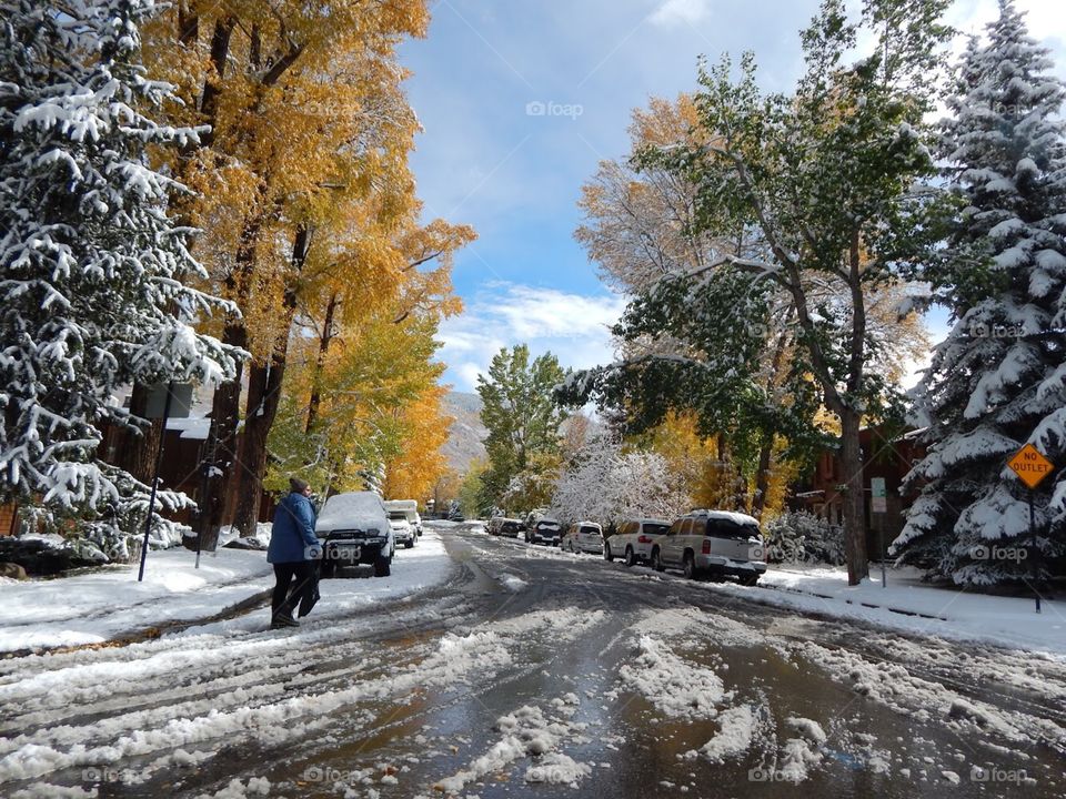 snow in fall or autumn in winter on road