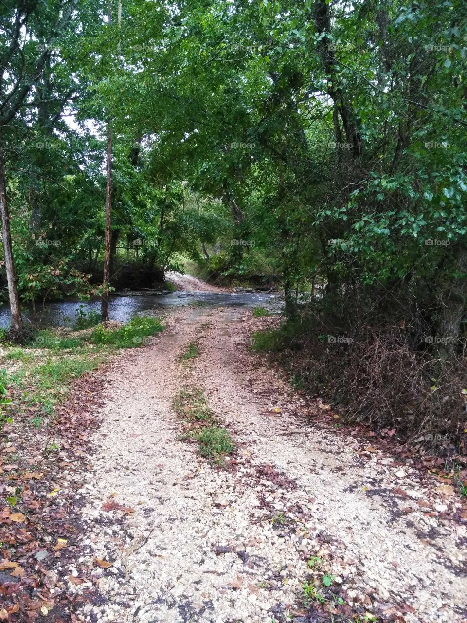 Crossing a creek.