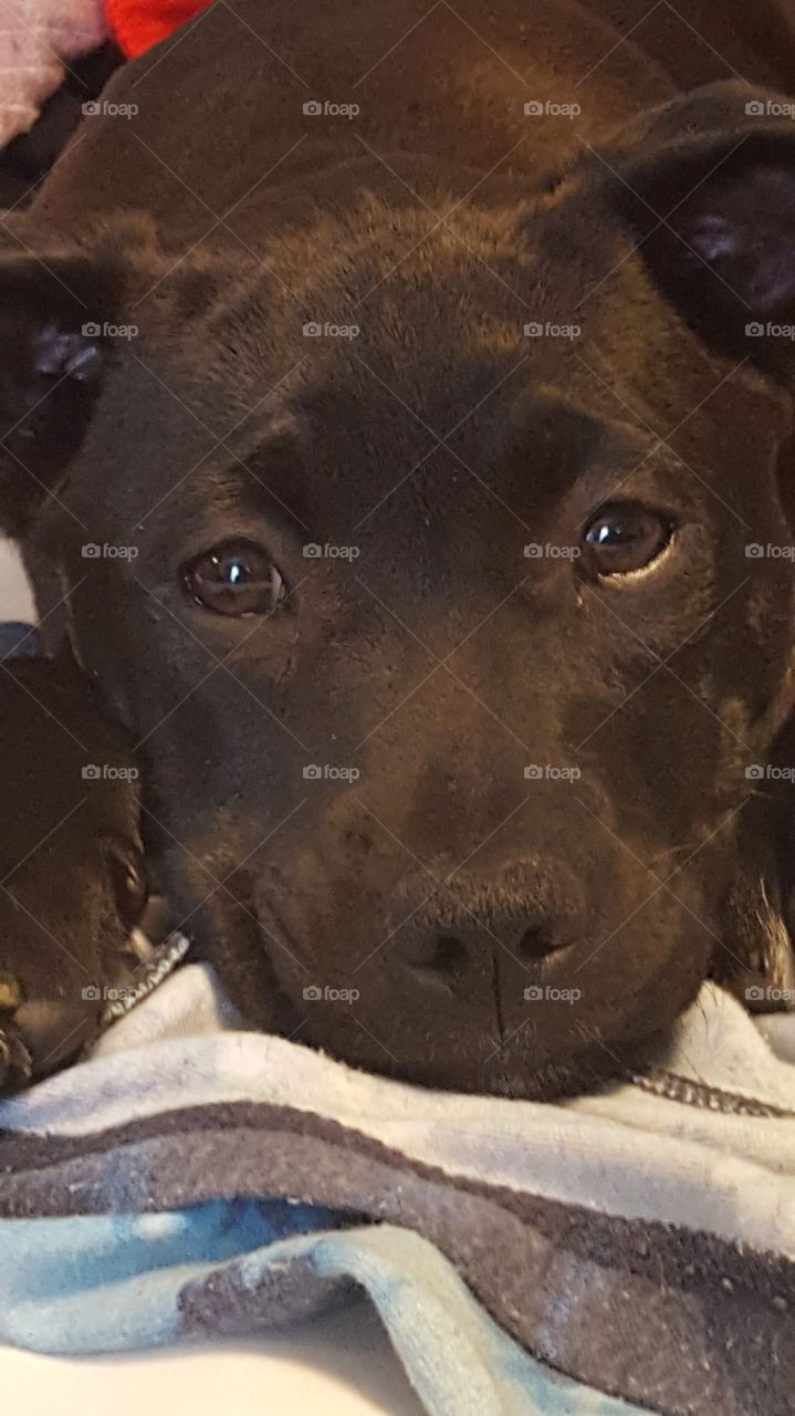 thinking about a nap