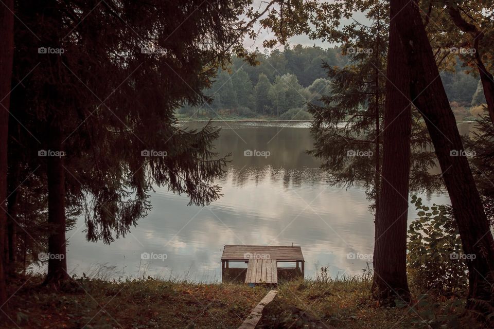 Summer landscape with pond