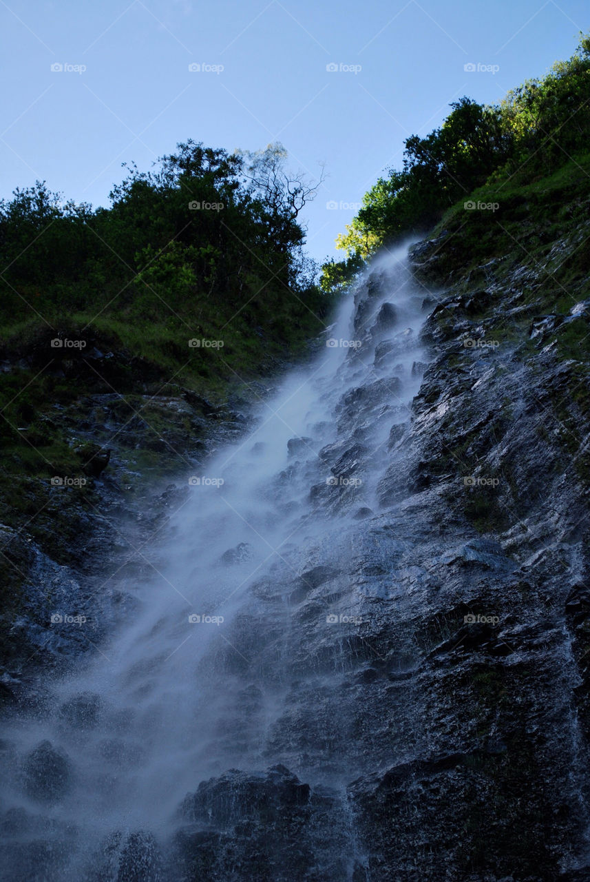 summer trees jungle waterfall by ihbtony
