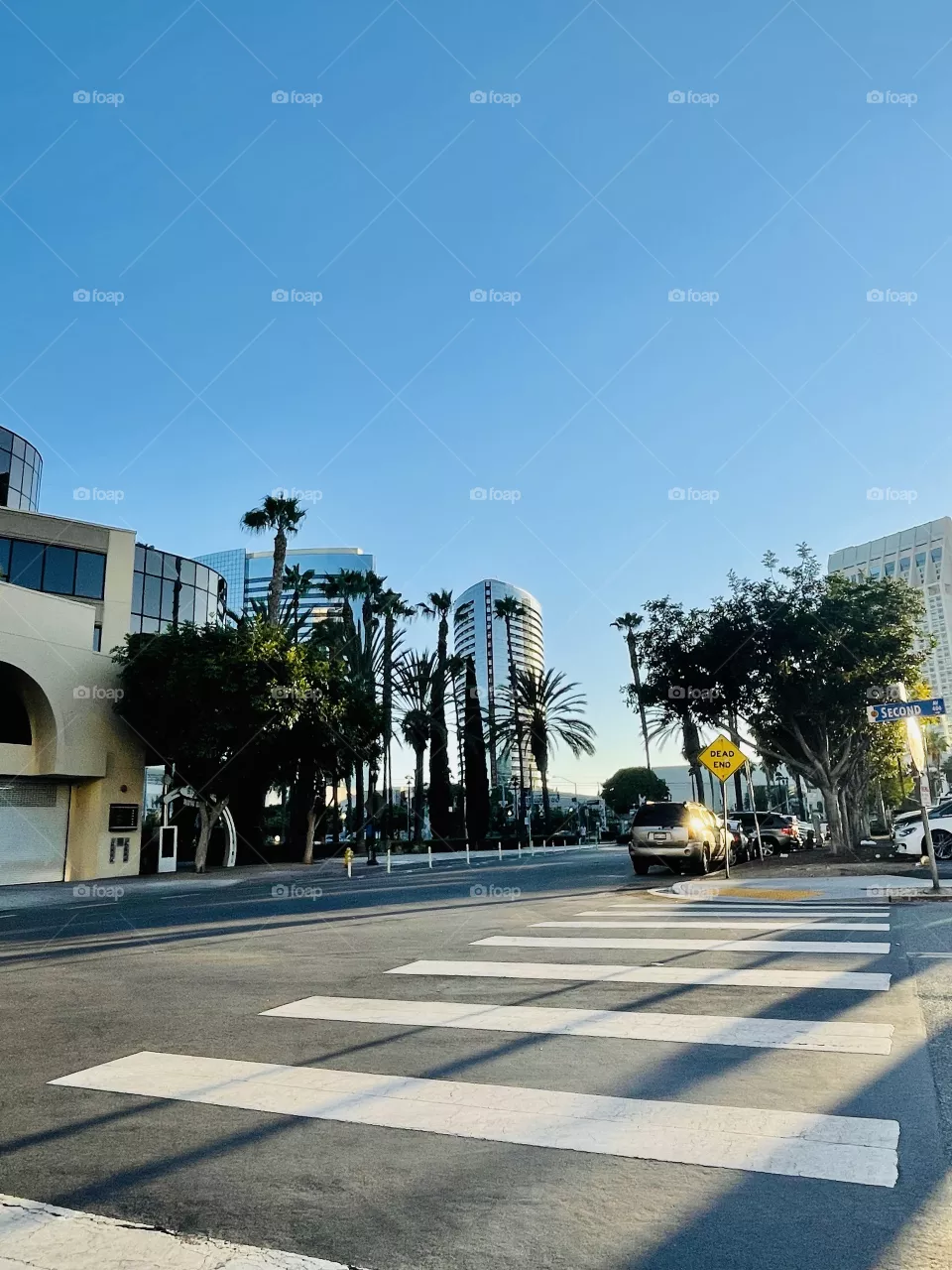 Downtown beauty 