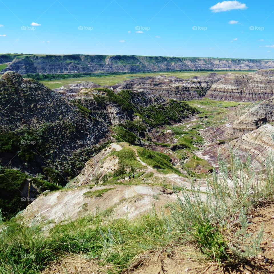 I feel like I’m on top of the world 