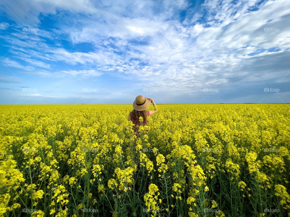 Yellow field