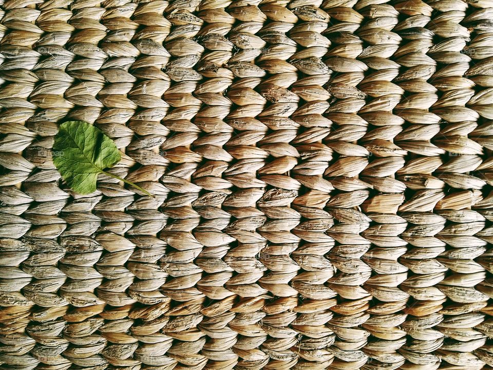 Wicker seat with one green leaf