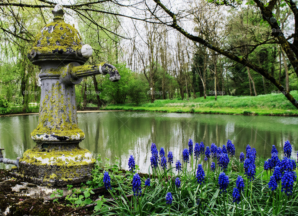 Water fountain, little lake France