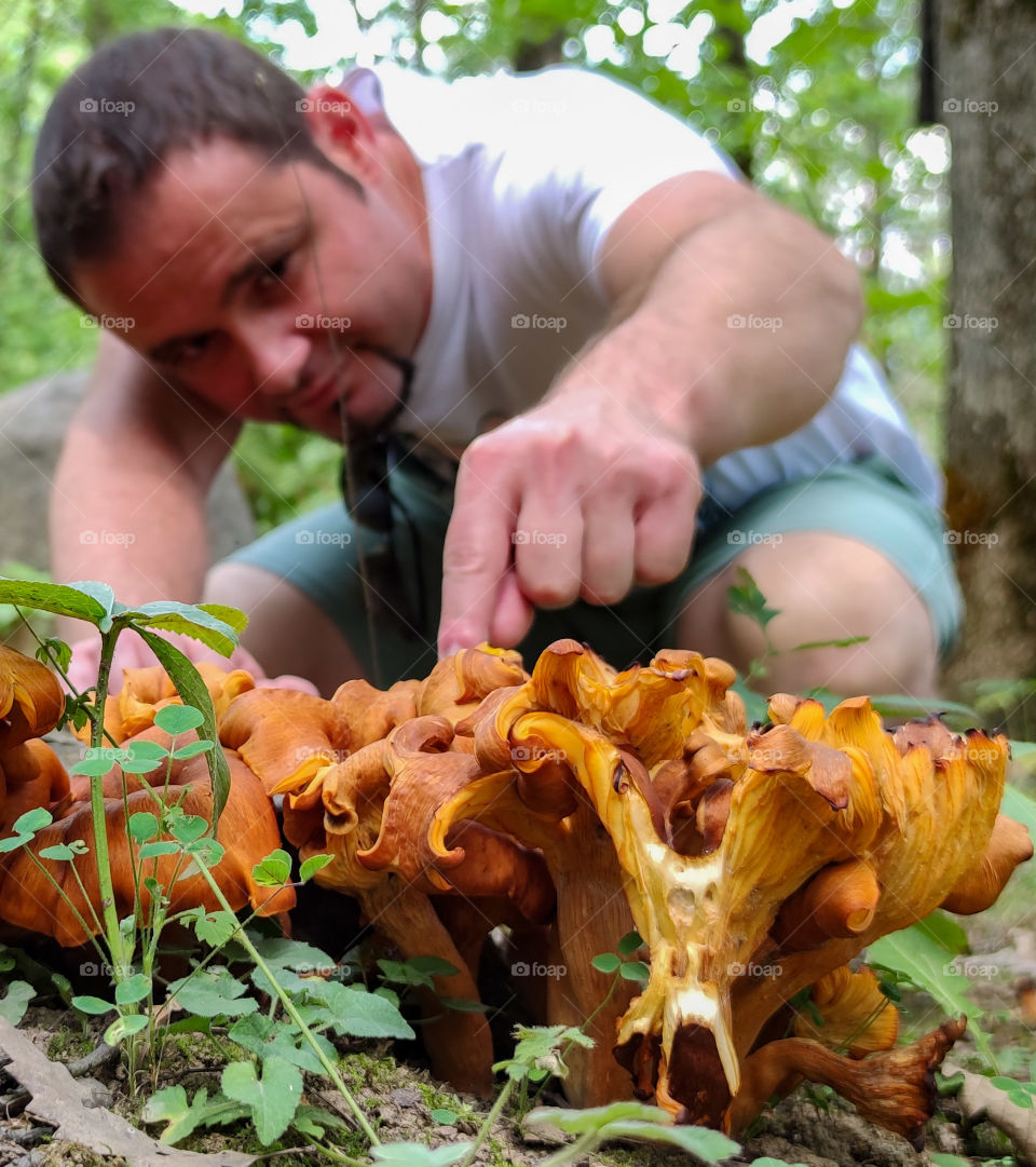 Mushroom picking in the forest