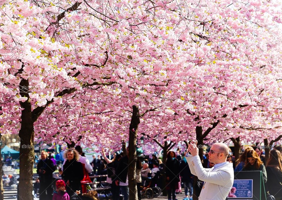 People enjoying spring . Mission 