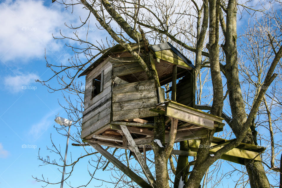 Childrens hut in tree. 