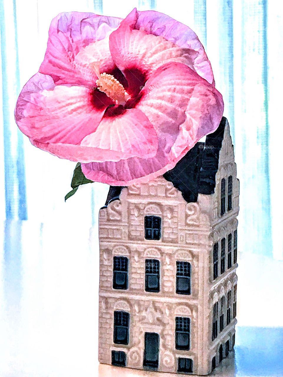 Rose Mallow Hibiscus in vase