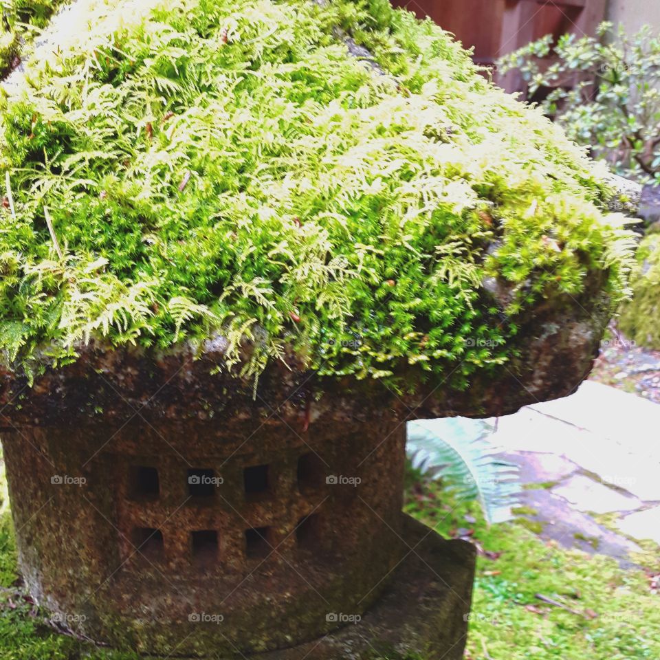 mossy stone lantern