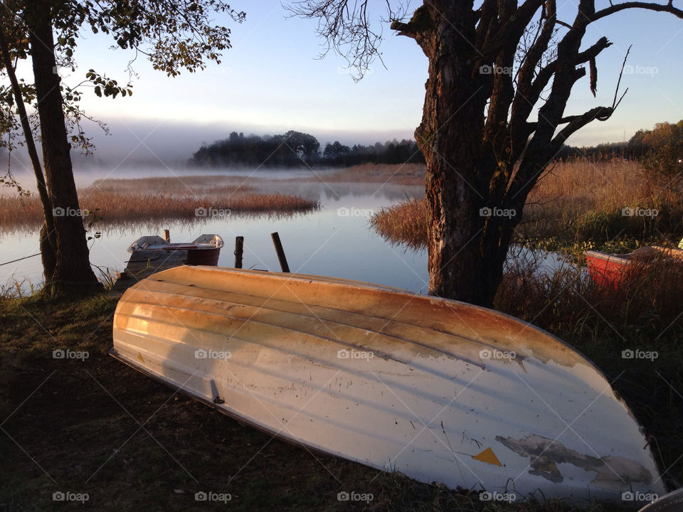 trees boat on land upside down morning foggy lake river autumn fall early dusk dawn by zebra