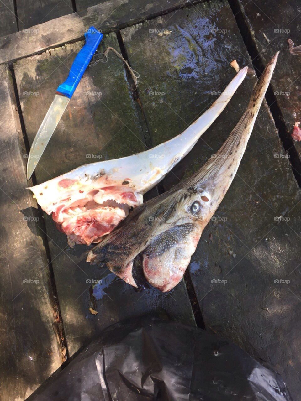 Fish, Food, No Person, Flame, Seafood