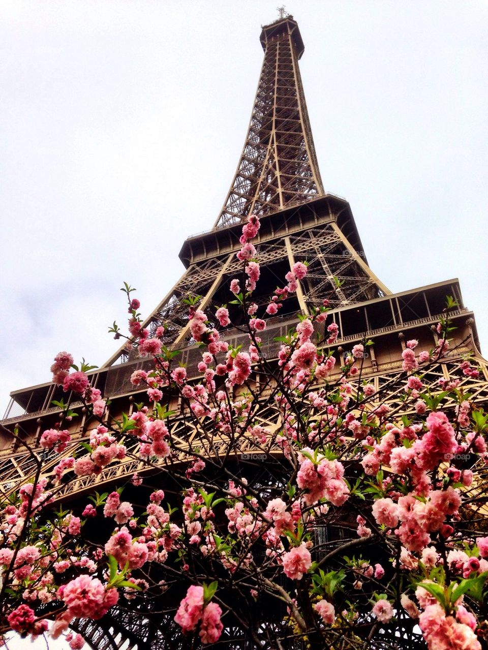 Springtime in Paris