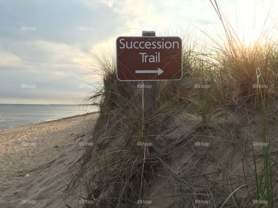 Succession trail at Indiana dunes