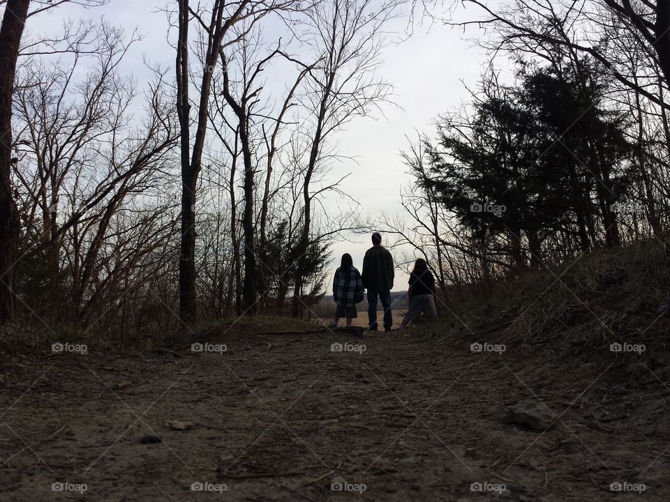 Marching through the Woodland
