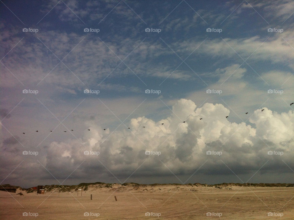 beach sky clouds birds by brittany