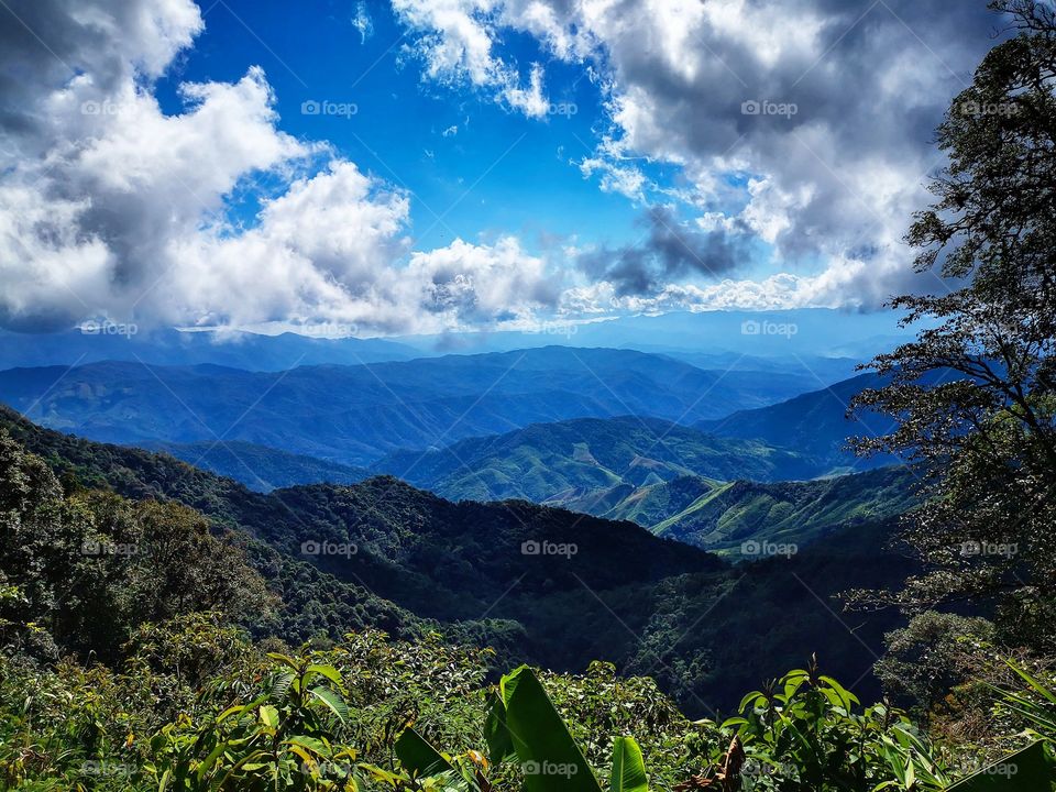 Stunning view from a top a mountain in Doi Phu Kha National Park in Nan, Northern Thailand. The greenery was gorgeous!