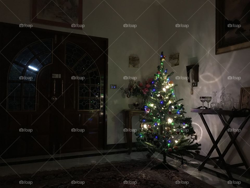 Christmas tree this year 