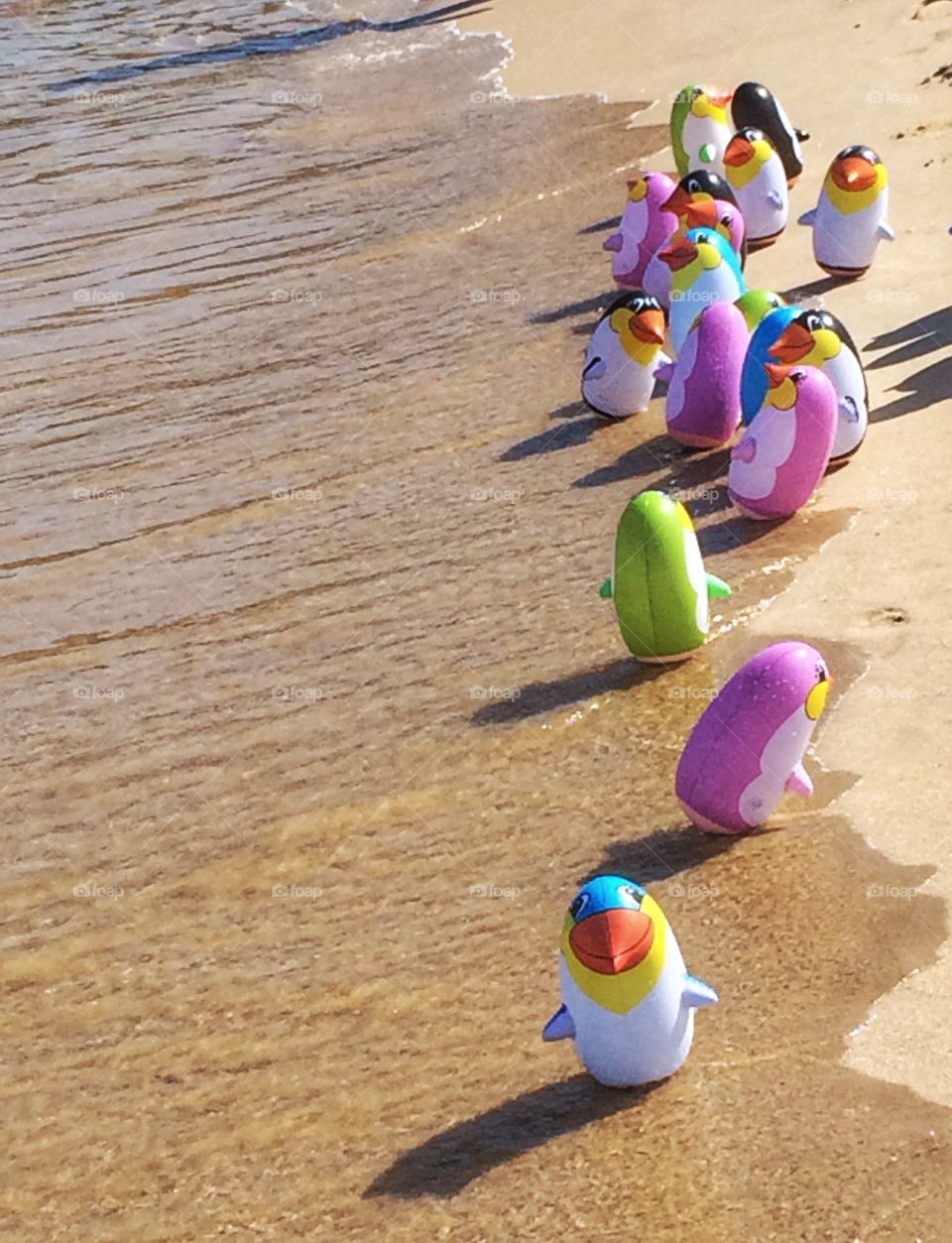 Inflatable penguins on the shore 