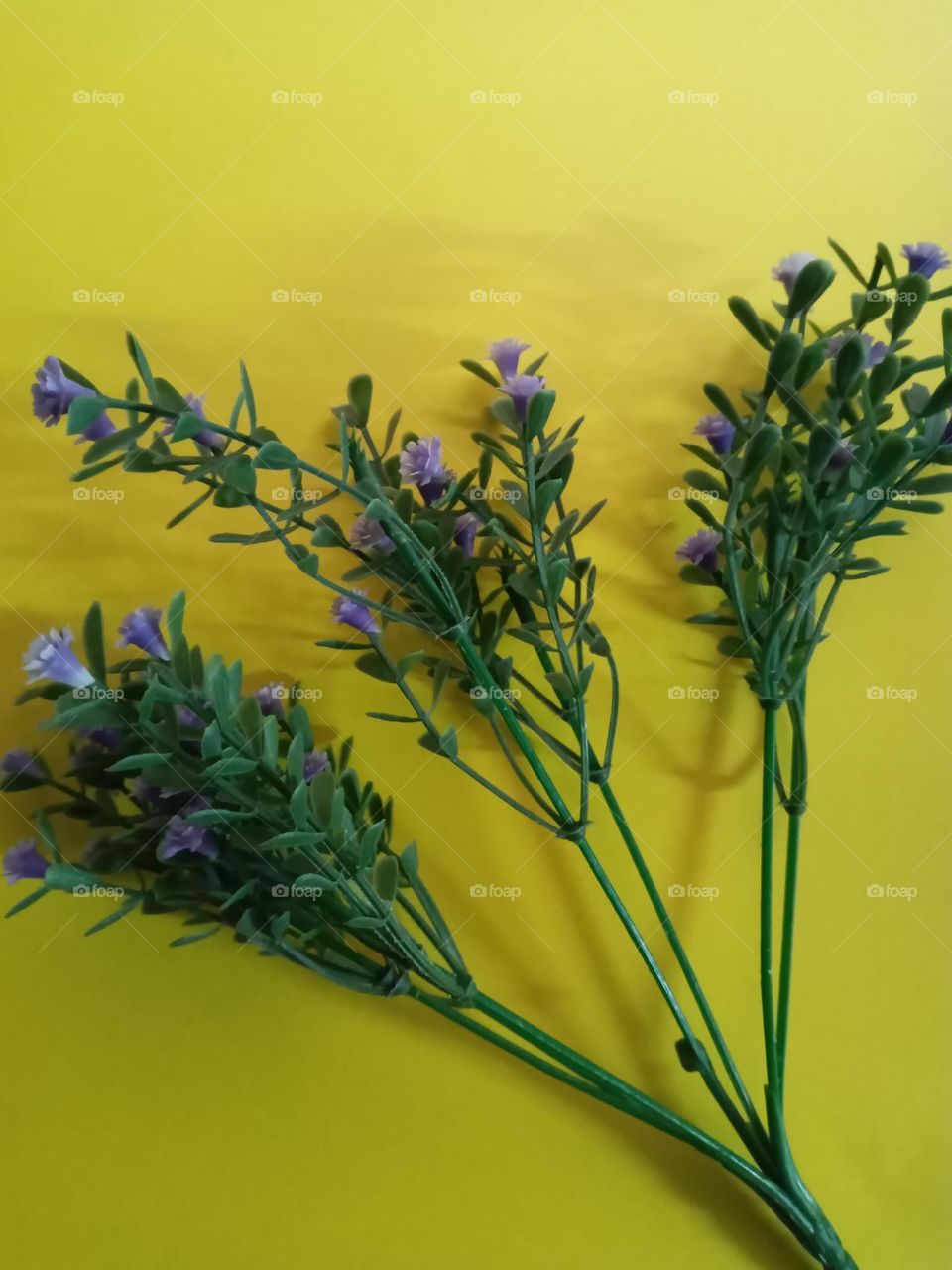 Capture the Power of Complementary Colors