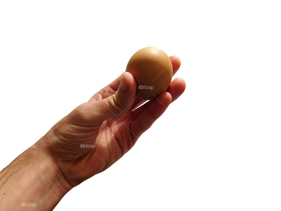 egg in hand