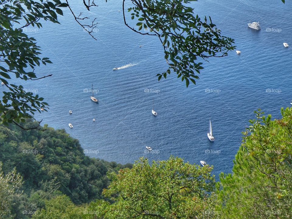 Il mare nella foresta