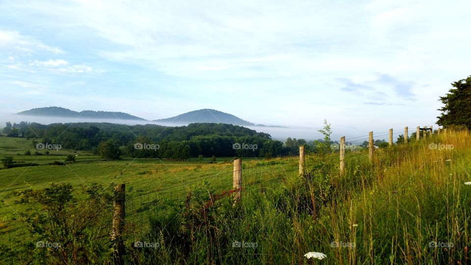 Foggy countryside in the early morning