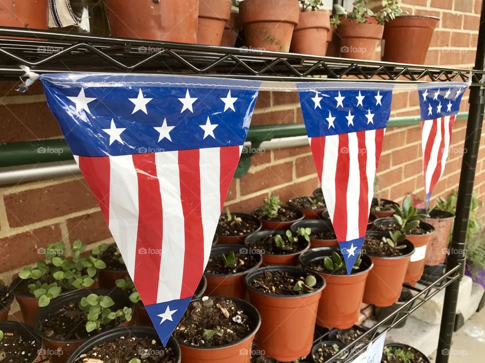 Flags and Flower Pots