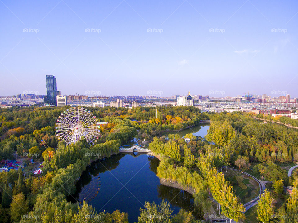 aerial view of a park with a ferris wheel