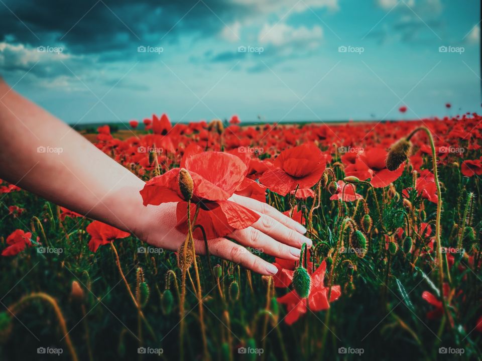 Women hand meets flower