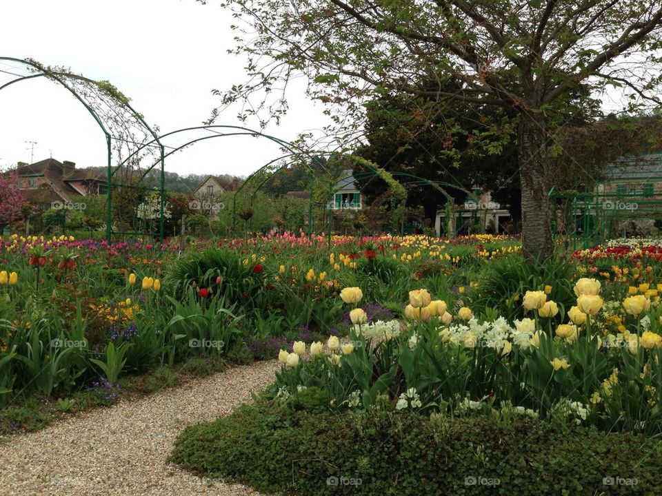 Path in Monet's garden