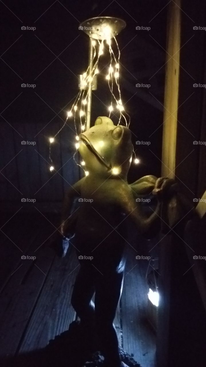 solar lit frog under a shower of lights adds whimsy and beauty to the night