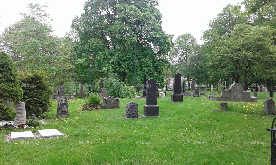 Cemetery in Trondheim Norway 🇳🇴