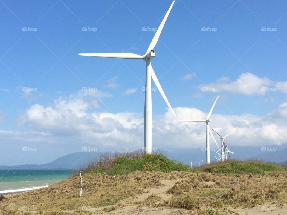 Bangui wind mills