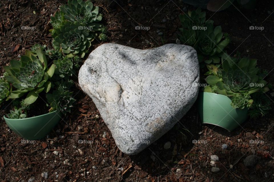 Heart in the garden