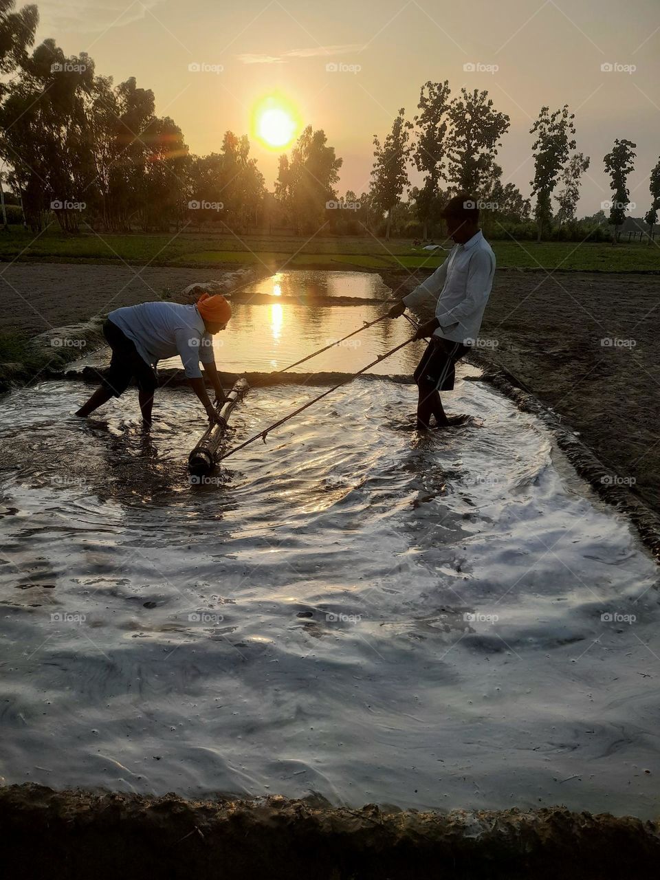 A farmer is the backbone of society, tirelessly working the land to feed the world.