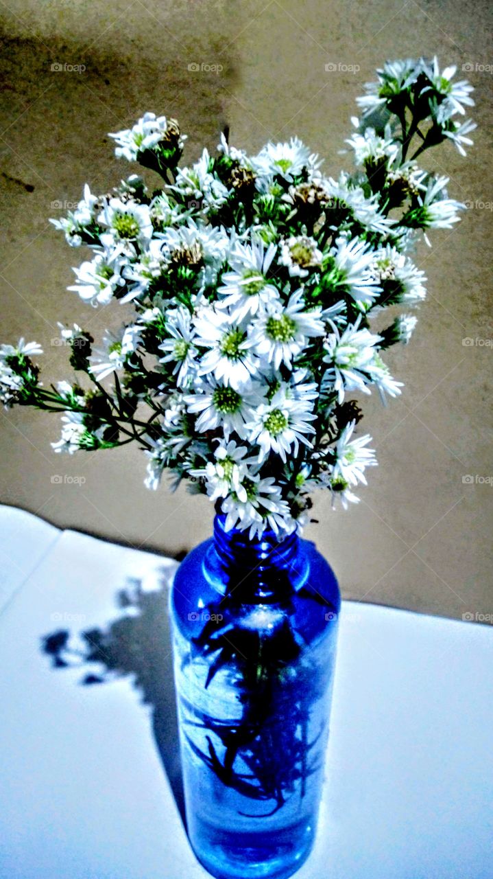 Flowers in bottle pots