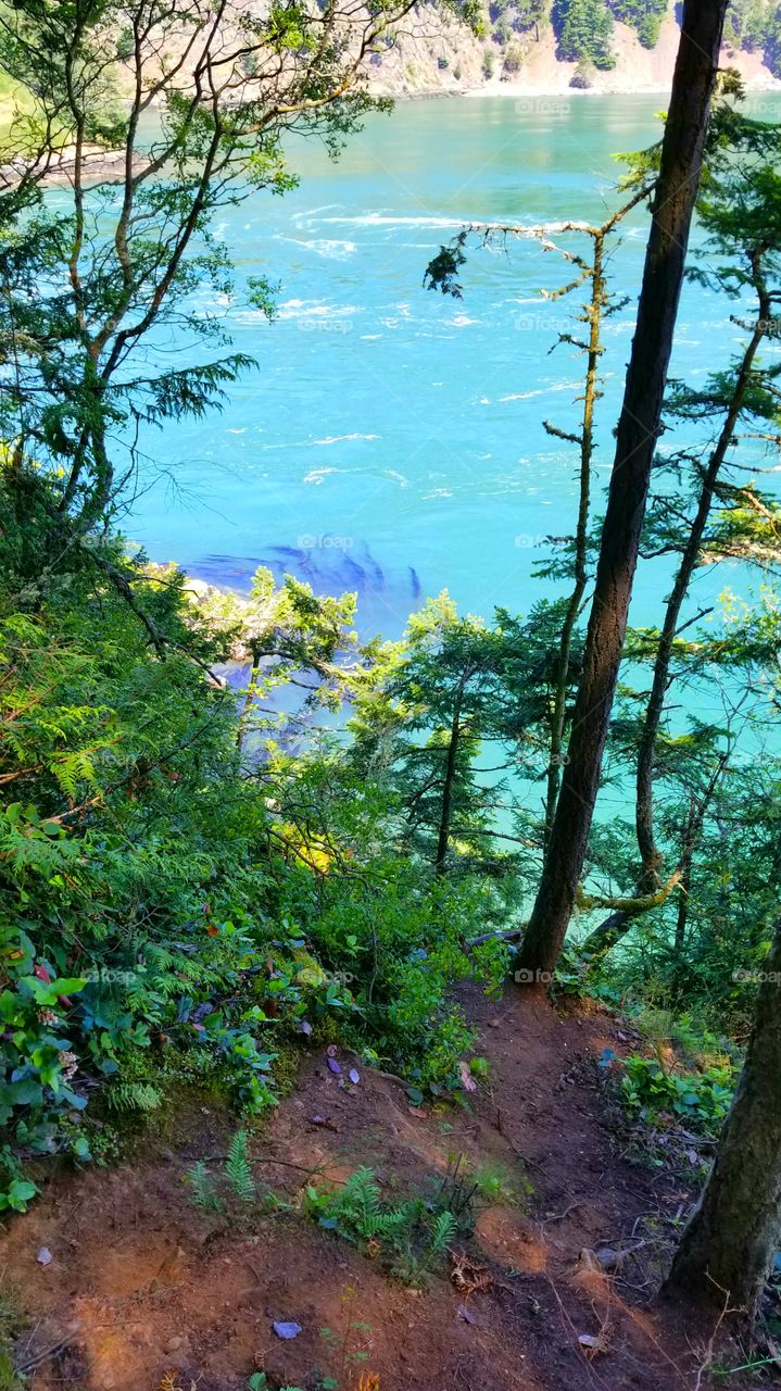 Looking Into The Water