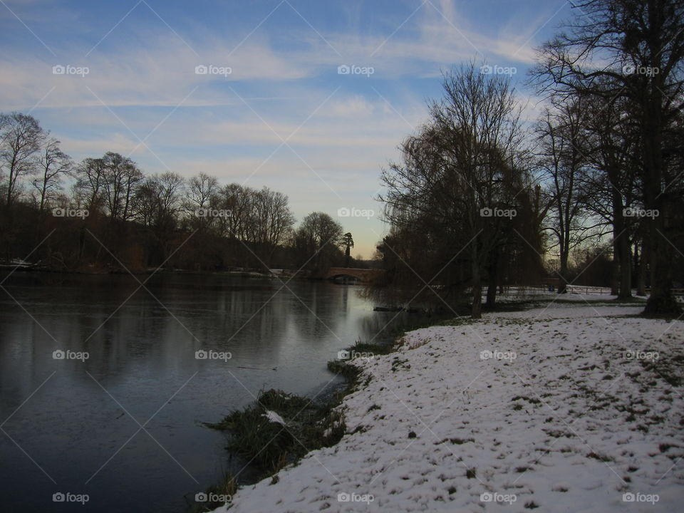 Water, Tree, Landscape, No Person, Dawn