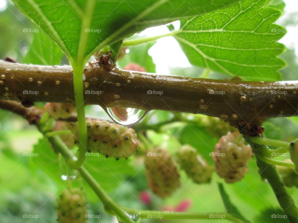 The little things sometimes mean the most