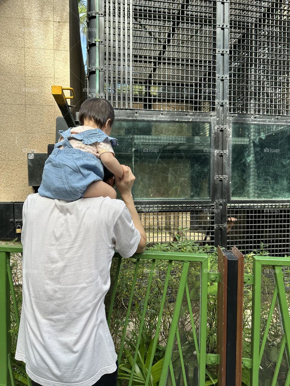 Me and my daughter in the zoo 