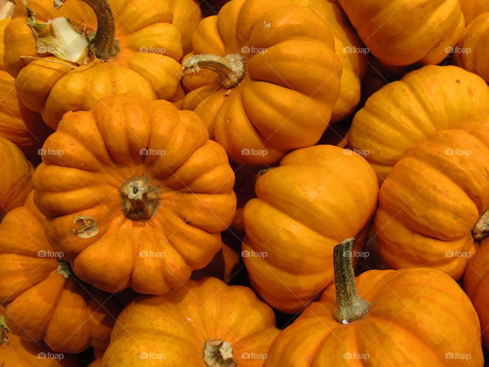 pumpkins