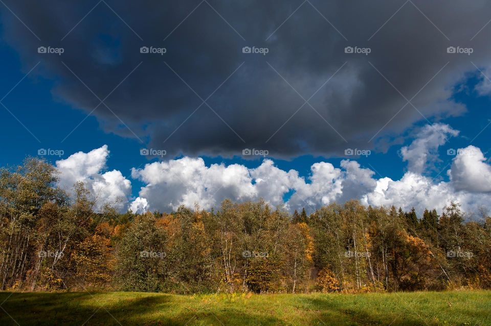 Clash of clouds-white and dark rain clouds over autumn colored trees