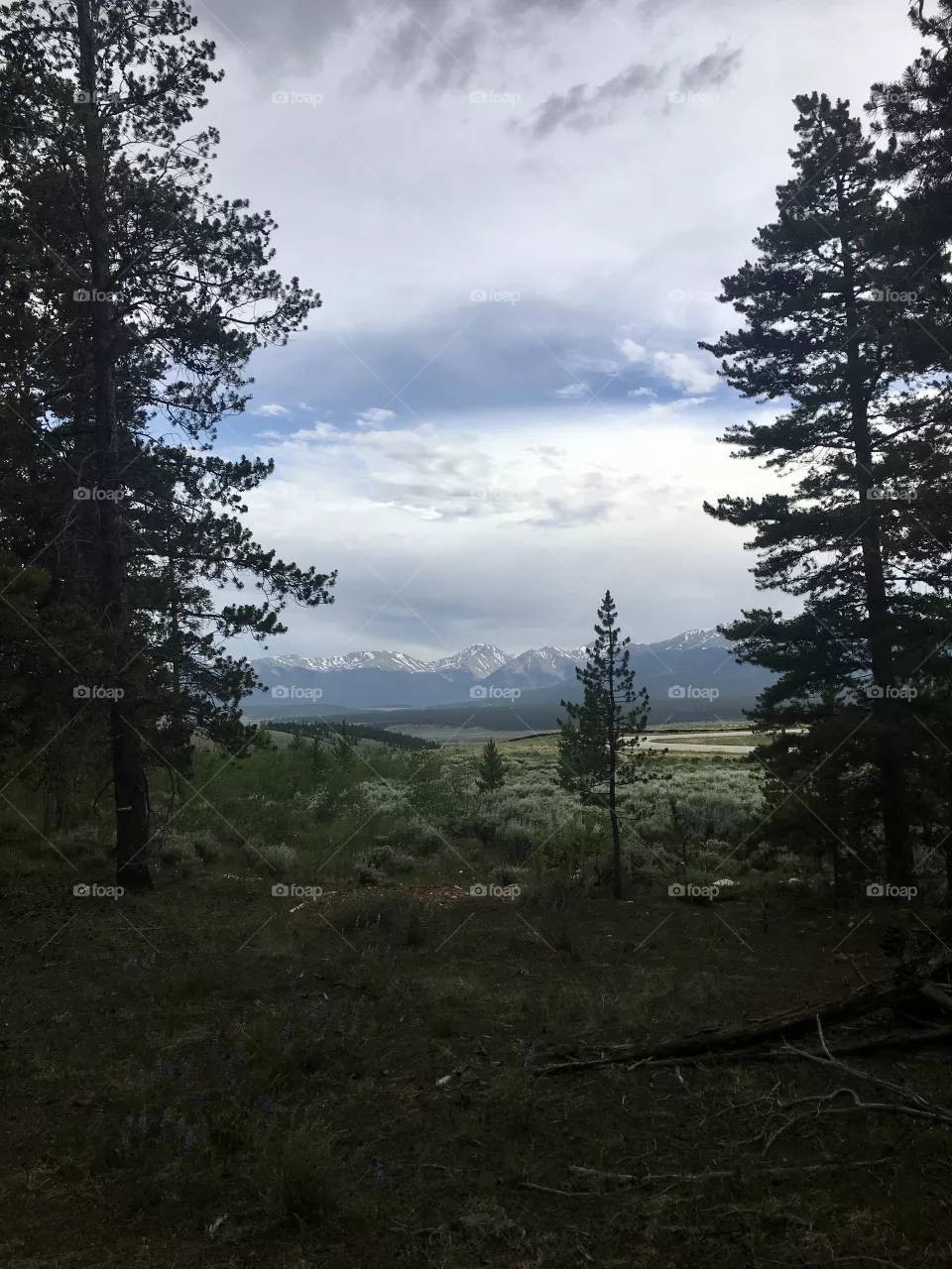 Mountain valley