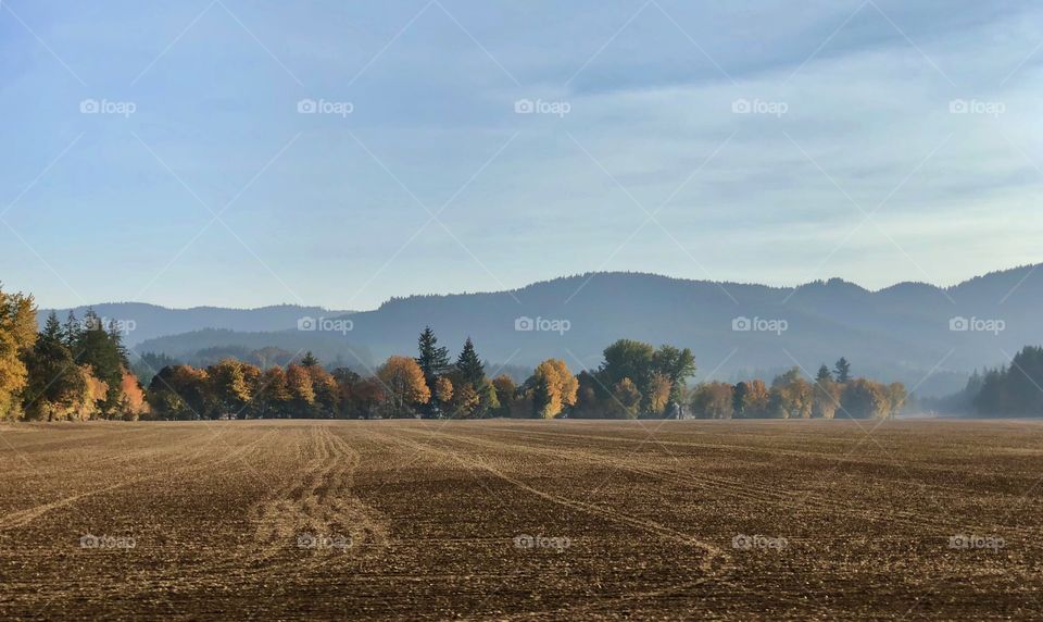 Fall colors seen during a road trip 