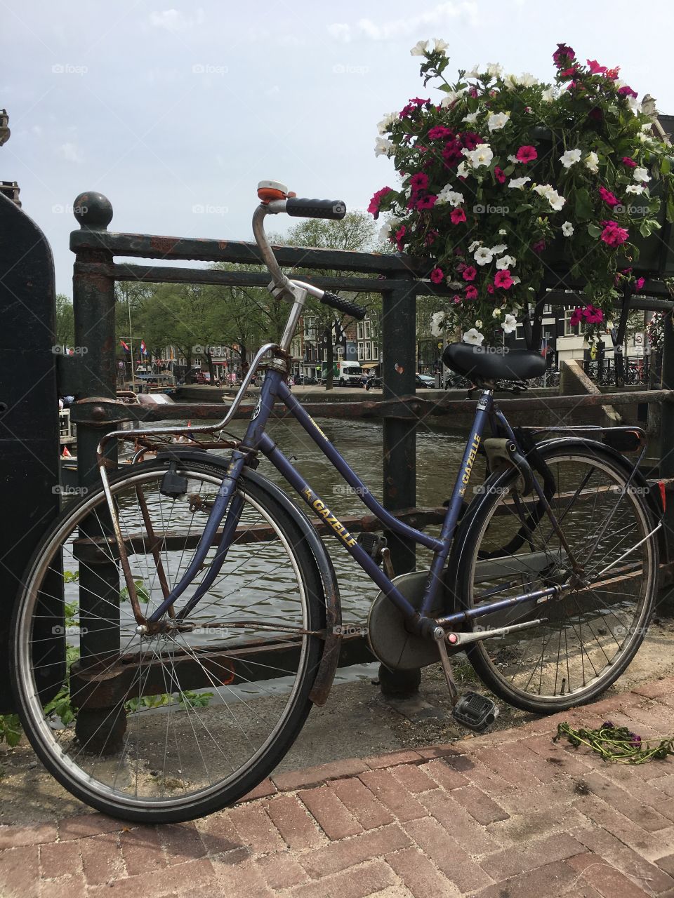 Bicycle on a Canal